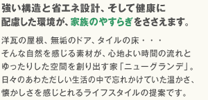 強い構造と省エネ設計、そして健康に配慮した環境が、家族のやすらぎをささえます。洋瓦の屋根、無垢のドア、タイルの床・・・そんな自然を感じる素材が、心地よい時間の流れとゆったりした空間を創り出す家「ニューグランデ」。日々のあわただしい生活の中で忘れかけていた温かさ、懐かしさを感じとれるライフスタイルの提案です。