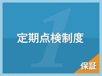 定期点検制度