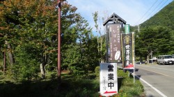DSC00584