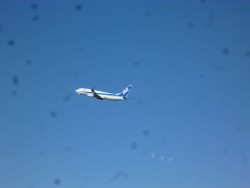 飛行機