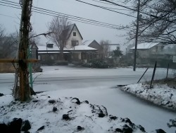 CAM00172