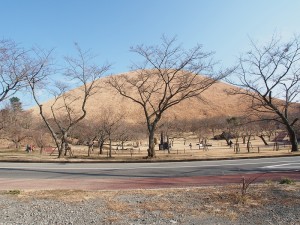 P2010116