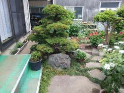 2015-05-15 15.52.27
