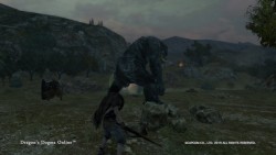 Dragon's Dogma Online_2