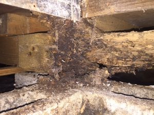 お風呂リフォーム白蟻被害2