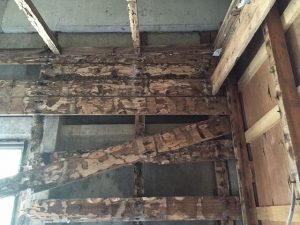 お風呂リフォーム白蟻被害1